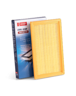 CG AIR FILTER K26030003003D