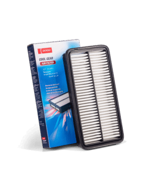 CG AIR FILTER K26030009003D
