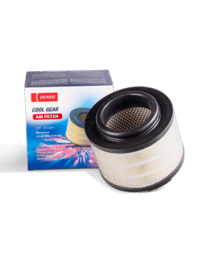 CG AIR FILTER K26030001213D