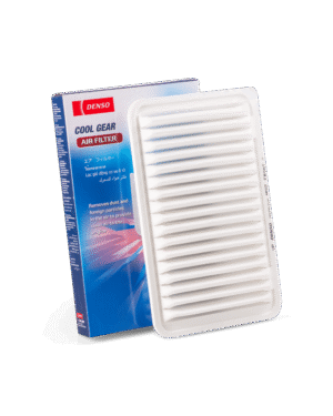 CG AIR FILTER K26030008903D