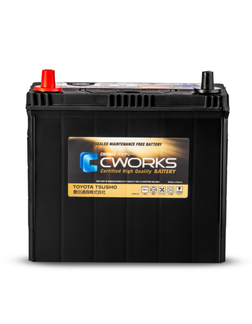 C-Works NS60R Battery