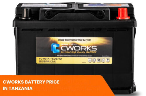 CWORKS Battery Price in Tanzania