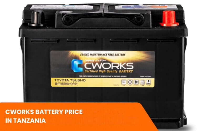 CWORKS Battery Price in Tanzania